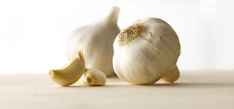 Garlic